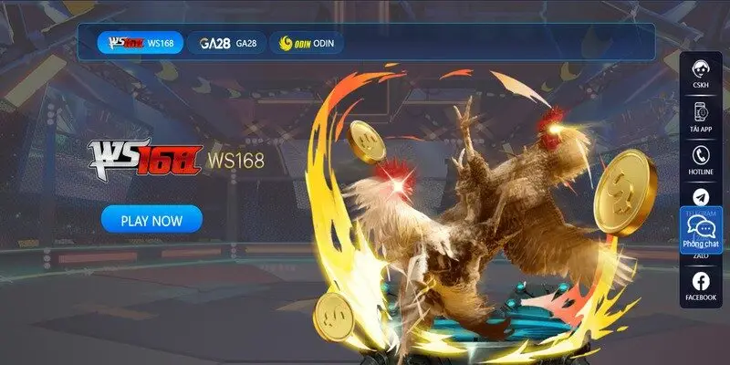 Miễn trừ trách nhiệm 3 Rủi ro khi cá cược thua là trách nhiệm của người chơi, không phải nhà cái